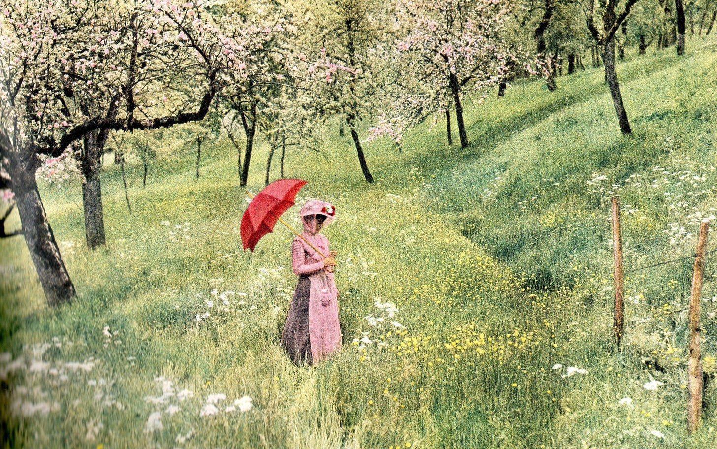 La femme à l'ombrelle - Louis Lumière, 1907