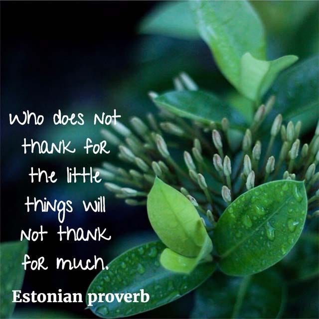 Who does not thank you for the little things will not thank you for much. — Estonian proverb