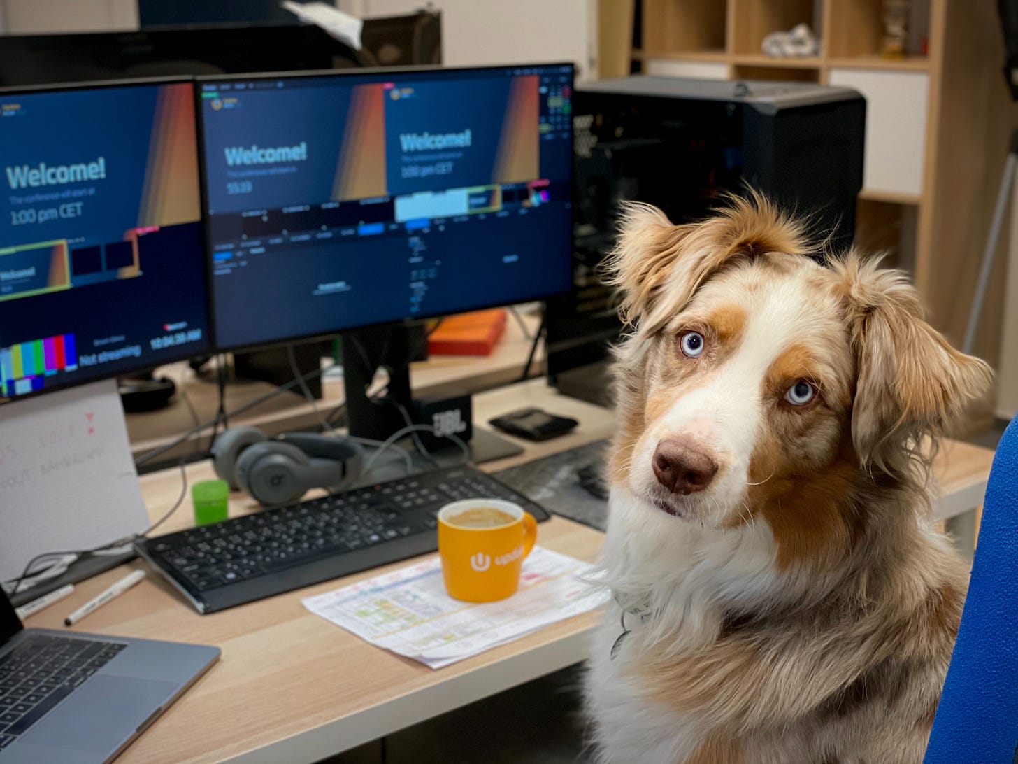a tri-colored dog with light eye color looks at the camera and sits at a computer desk with two screens. A yellow coffee mug sits between the keyboard and the dog. The dog is white, light brown, and gray. Photo by Pavel Herceg on Unsplash