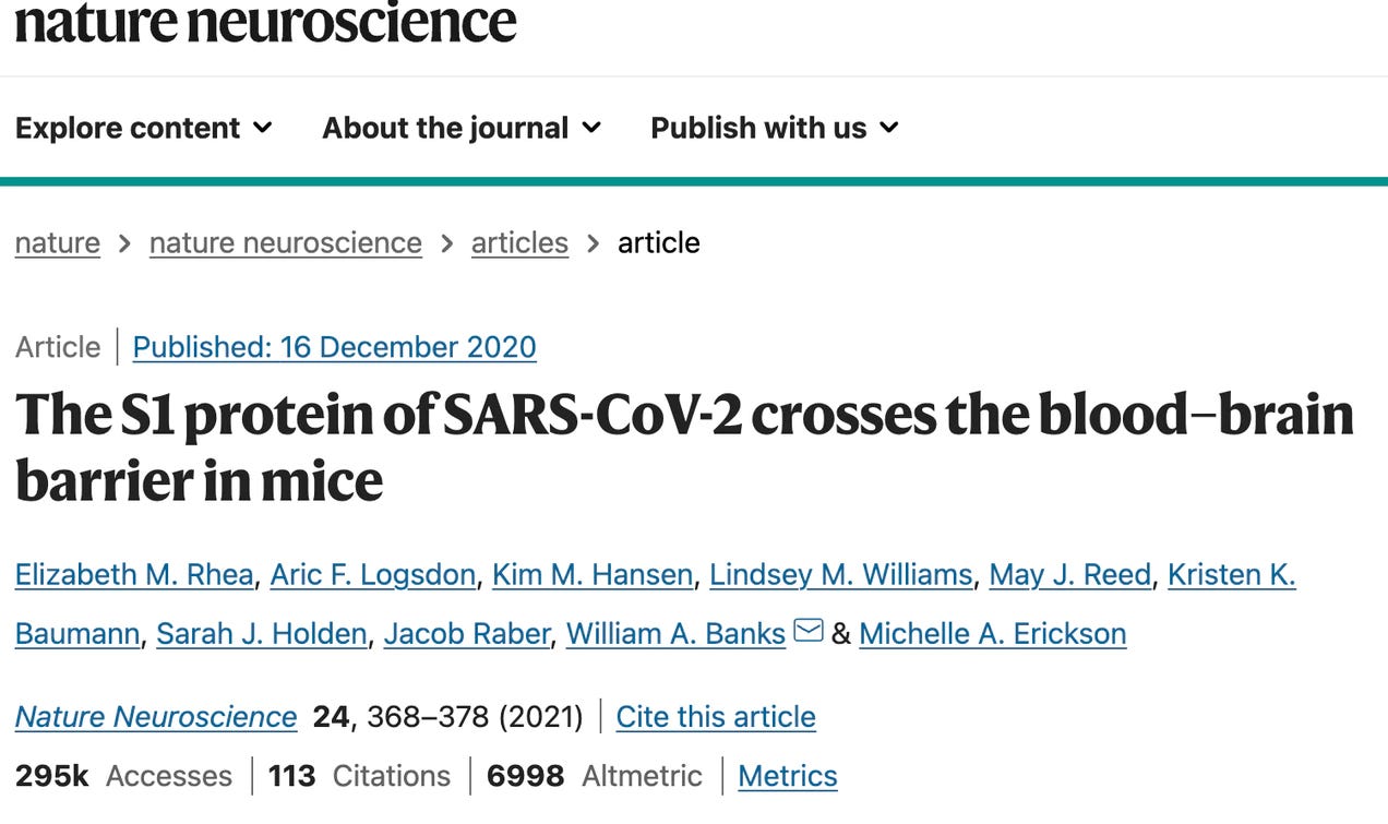 Artikel protein S1 masuk ke blood-brain barrier di penelitian tikus
