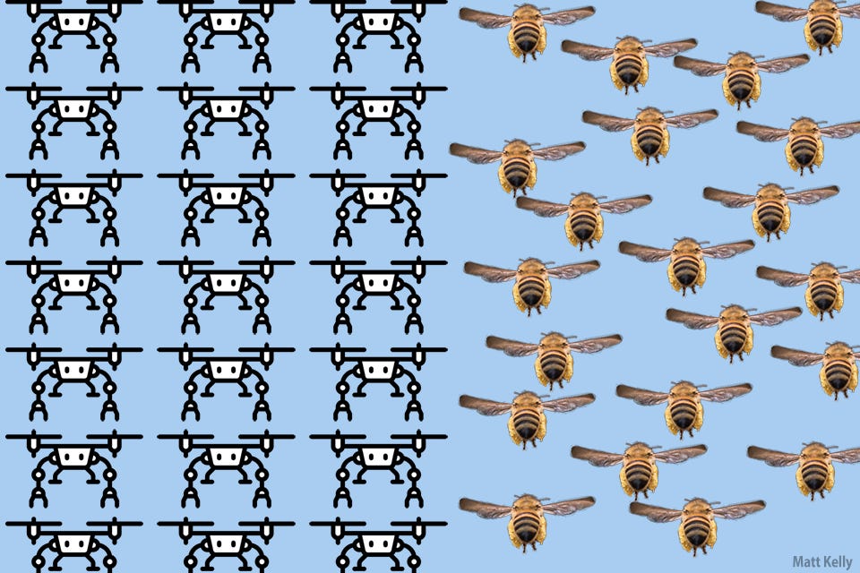 drones and bees