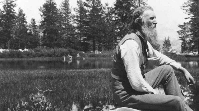 John Muir and his giant beard gazing into the woods