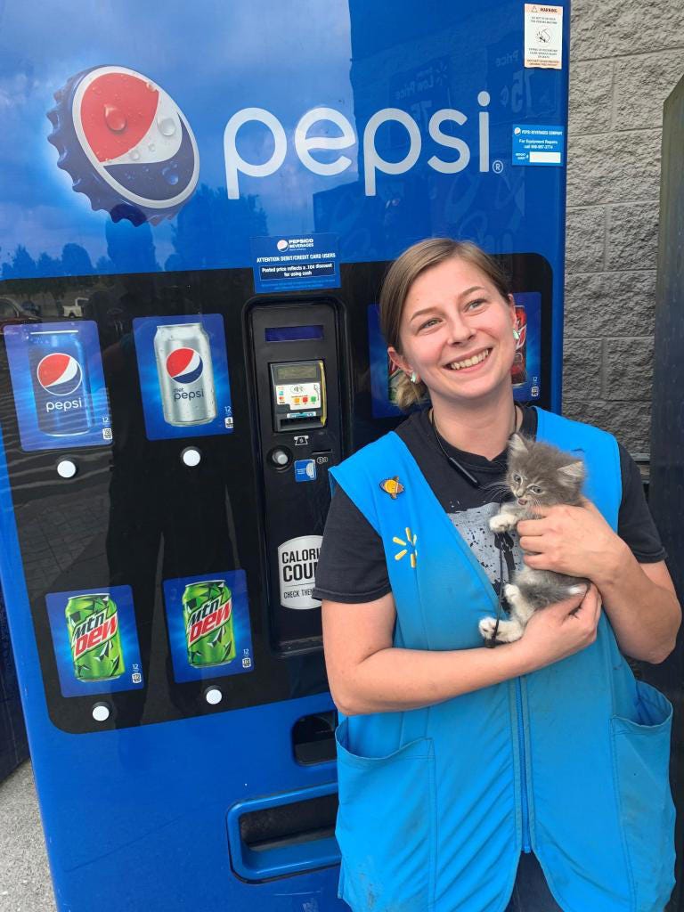 Firefighters in Morristown, Tenn., responded to the local Walmart store to rescue a kitten stuck inside a Pepsi vending machine. Photo courtesy of the City of Morristown - Government/Facebook