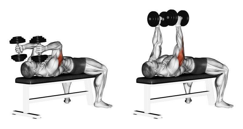 Triceps Skull Crushers: 3 Variations for Bigger Triceps | Fitness Workouts & Exercises