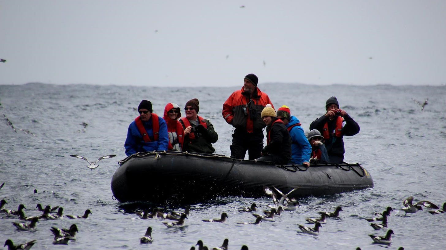 A photograph of a zodiac dingy, with eight people abord, surrounded by birds in the water. Everyone is wearing raincoats, warm clothing, and life jackets. At the front of the zodiac, Louise is sitting, wearing a yellow beanie.
