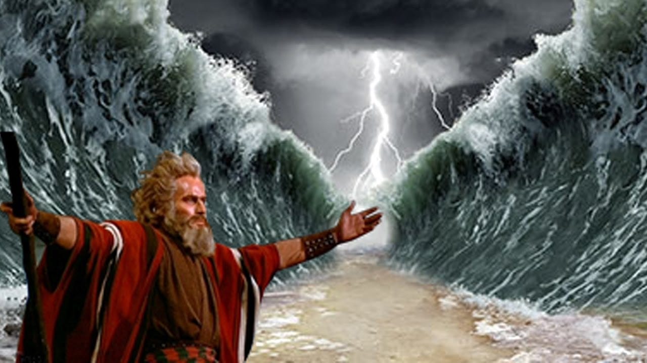 Image result for red sea moses