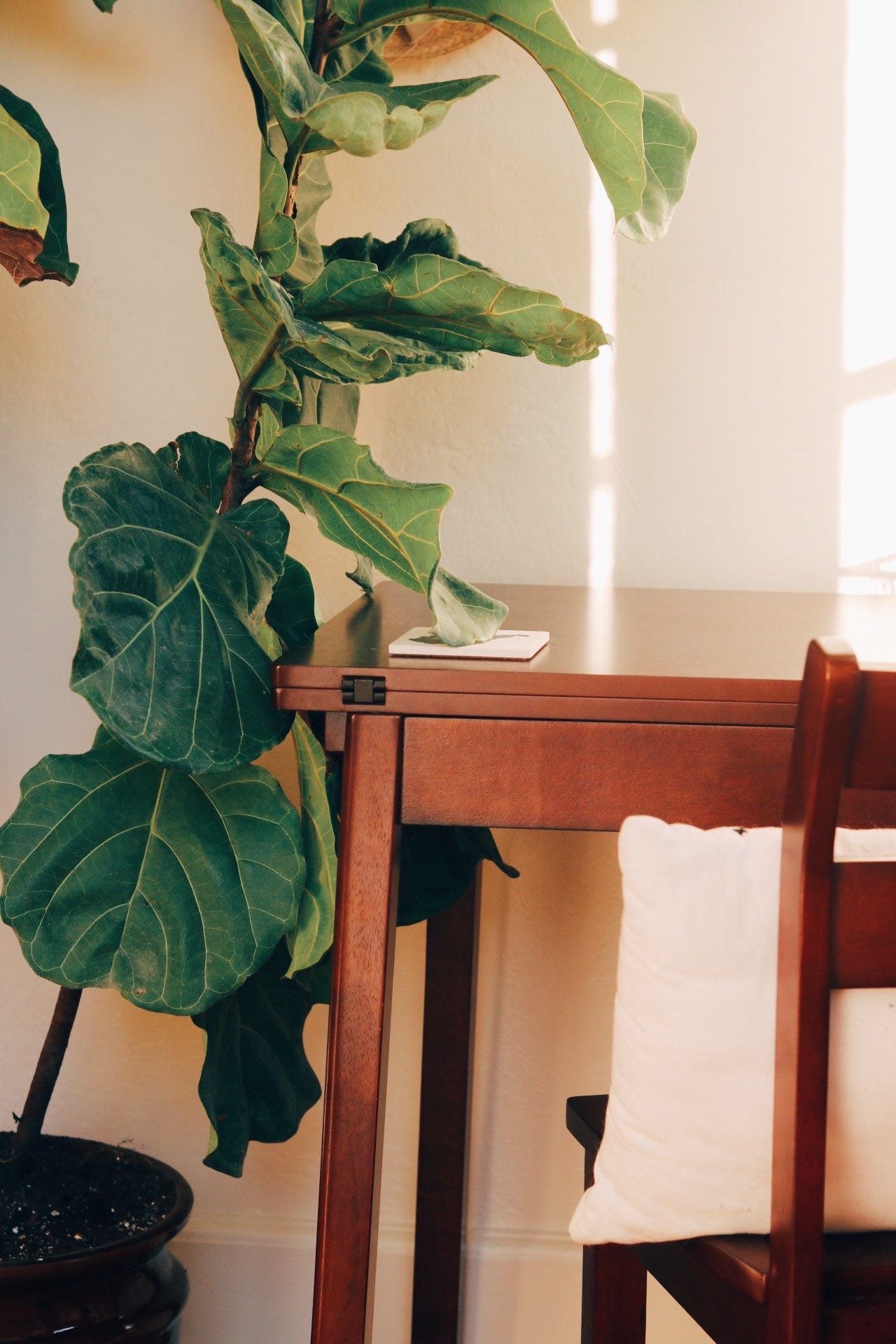  Another look at the desk area. I have a bit of a gallery wall happening but it’s currently blocked by our Fiddle Leaf Fig.   He’s hanging on and definitely looks a little better than when we brought him home from Home Depot. 