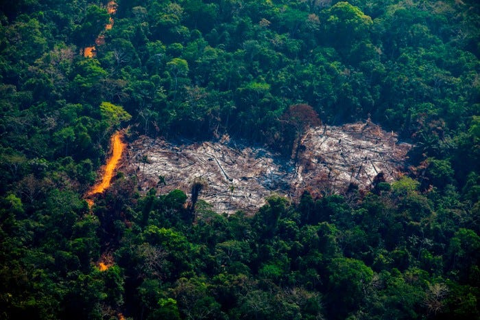 When will the Amazon hit a tipping point?