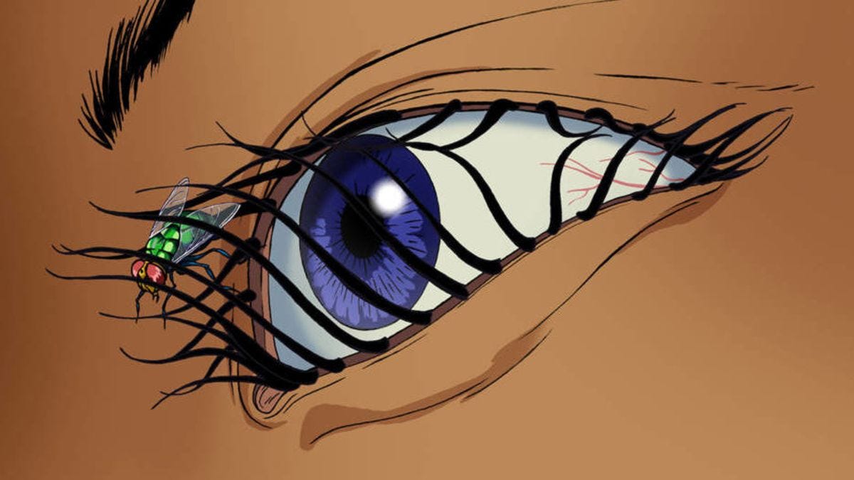 You Can Now Watch All of MTV's Liquid Television, the Launching Ground for Æon  Flux