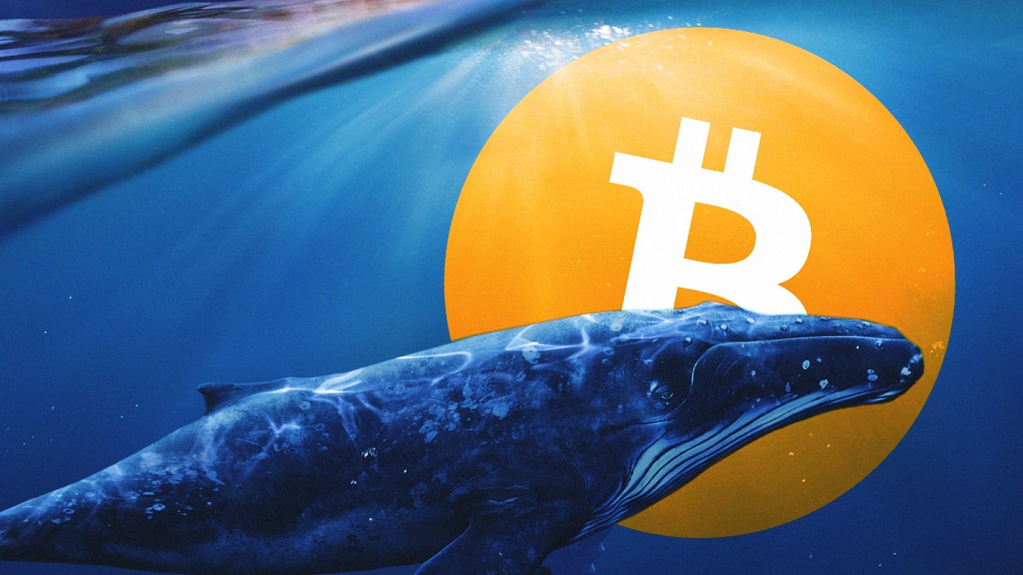 Number of Bitcoin whales reaches a record, and Monero price has updated its  two-year high | by BestChange | Medium