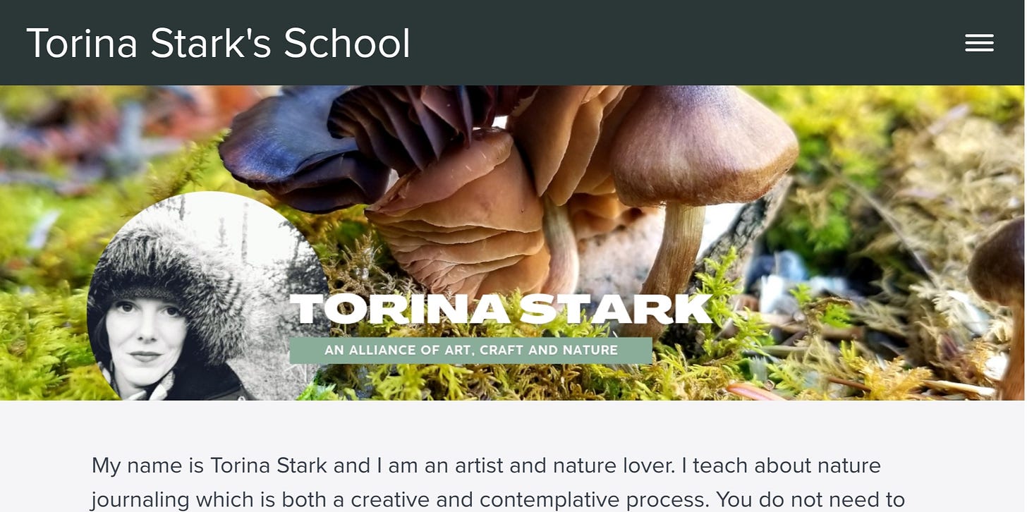 Screenshot of my Teachable school homepage featuring a picture of me in winter gear overlaid on top of a photograph of mushrooms. It says “Torina Stark; an alliance of art, craft and nature”