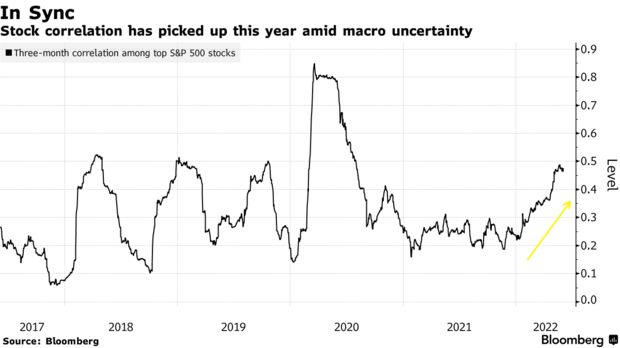 Stock correlation has picked up this year amid macro uncertainty