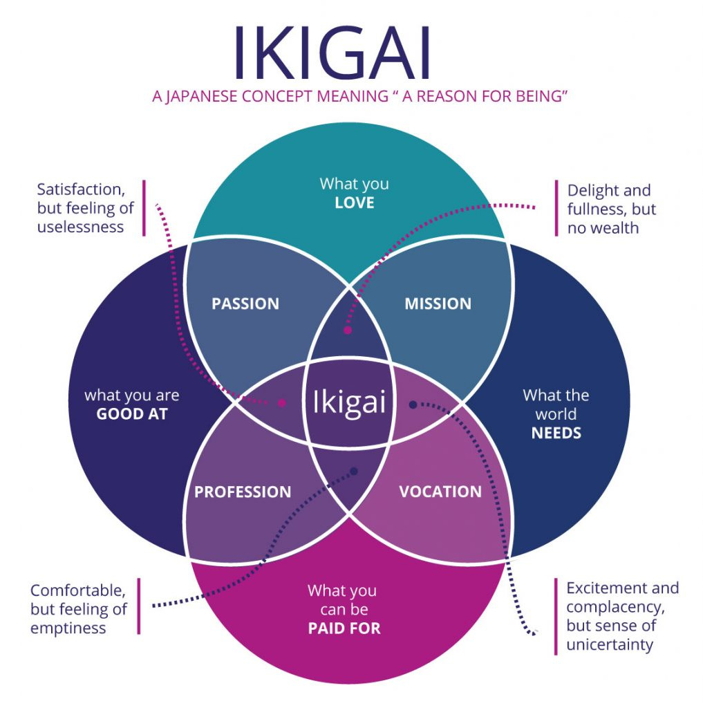 How to find your ikigai? - A guide for students to build their study plans