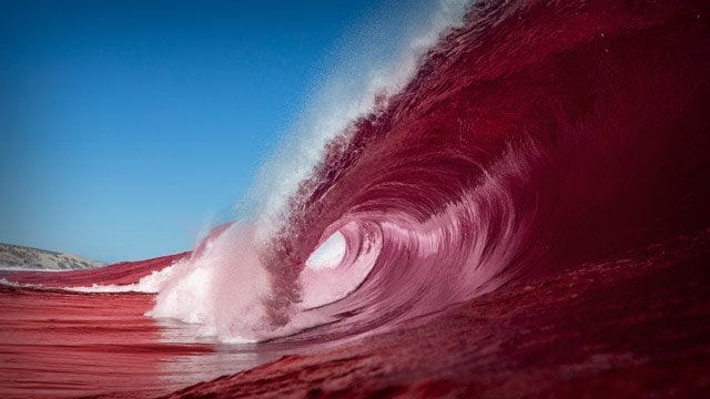So what does a Red Wave actually look like? - VOLUSIA COUNTY GOP