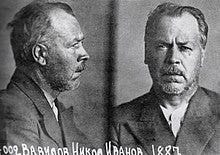 Image result for Nikolai Vavilov