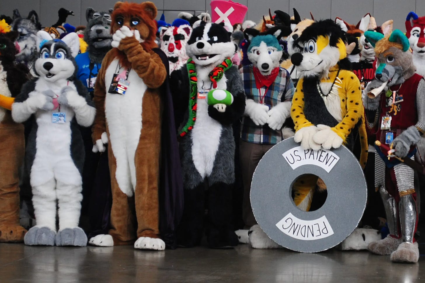 Furries in costume in the US