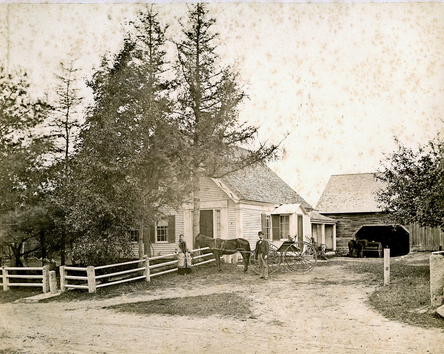 Man and woman with horse drawn cart