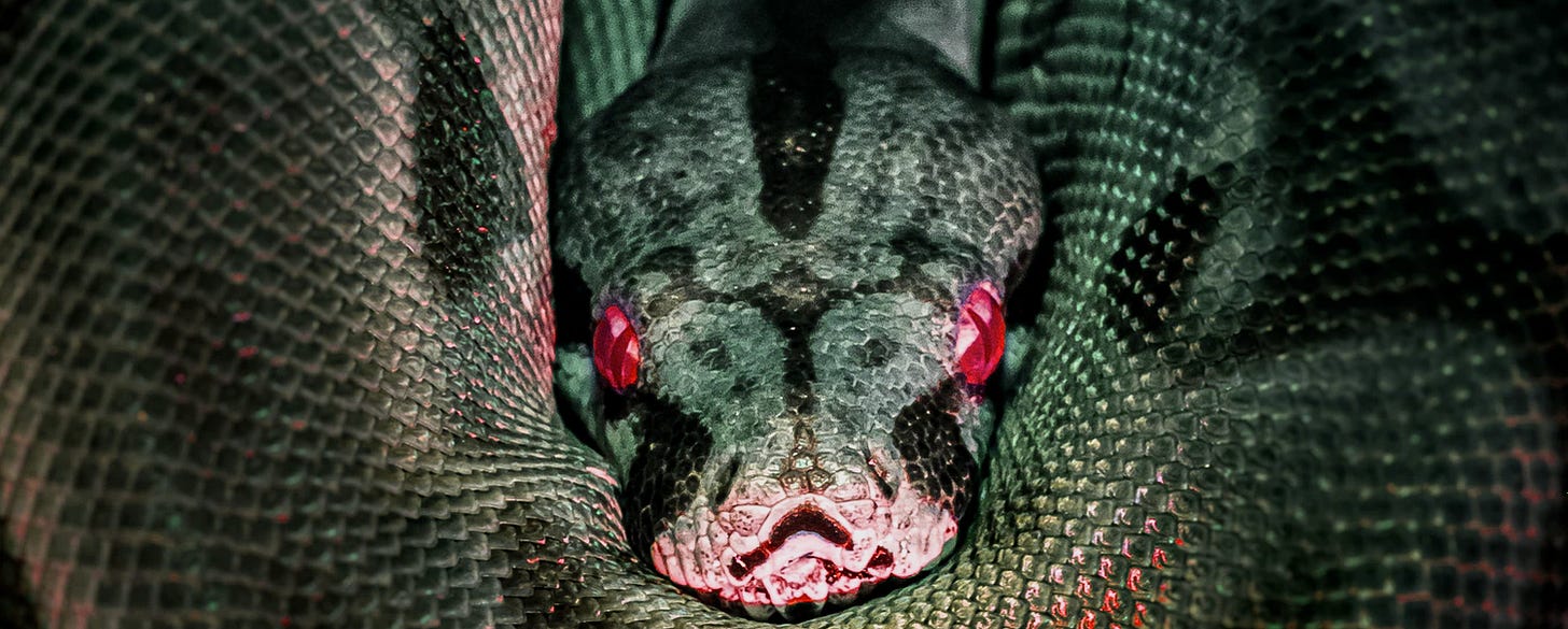 The basilisk can kill you with a glance. Or maybe it just wants you to buy Bitcoin?