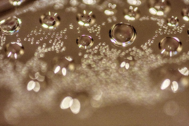 Most of the dinner is made by me. During waiting time, I will create some interesting thing. So I take picture on the glass cover whcih is covered with steam. Sometimes it will give unexpectedly good effect. But, be careful not to burn the lens.晚餐多數是我弄的，有時在等待完成的過程，來點創作，所以用相機拍下佈滿蒸氣水泡的玻璃蓋，困然有時會有意想不到的效果，不過就要小心不要把鏡頭燒了。