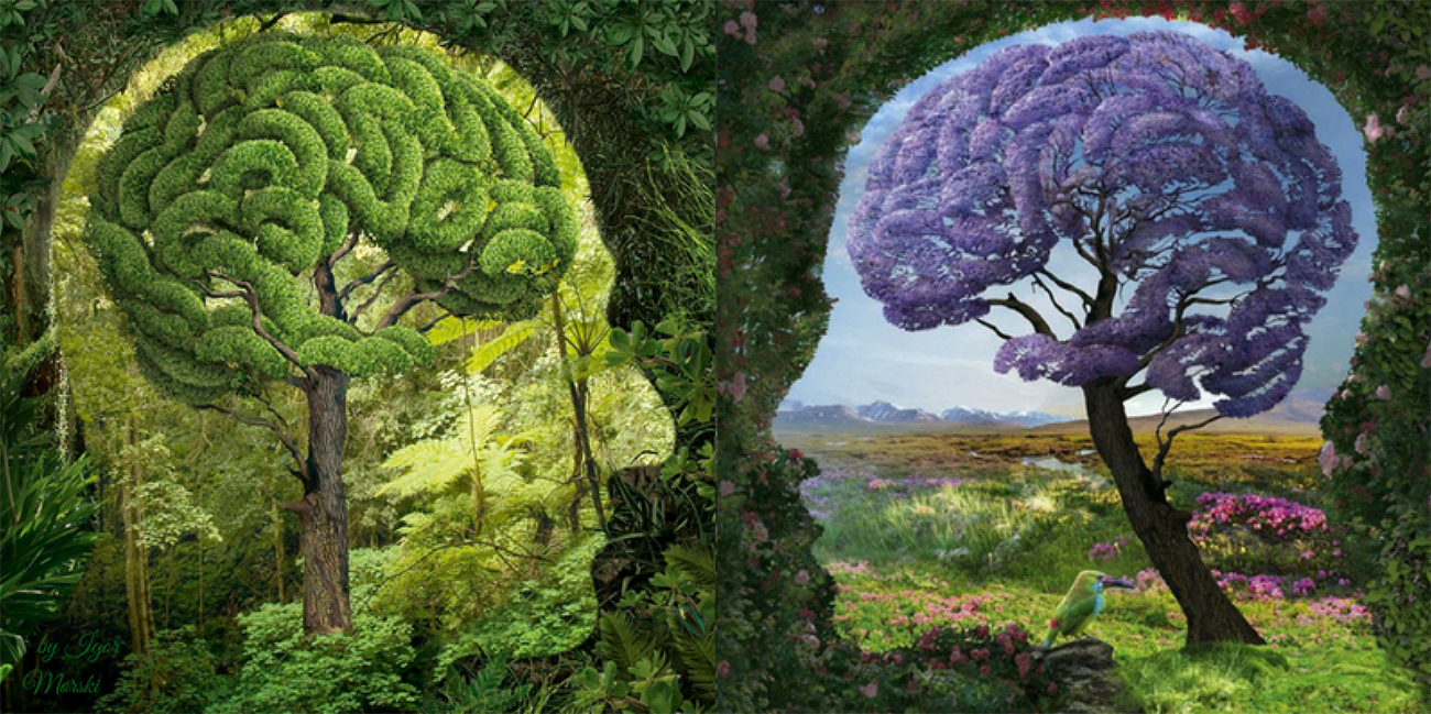 Beautiful art of two human heads looking at each other, but they heads are silhouettes, and trees make up the brains of each head.