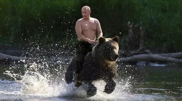 Did Putin actually kill a bear? - Quora