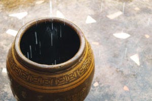 rain pot