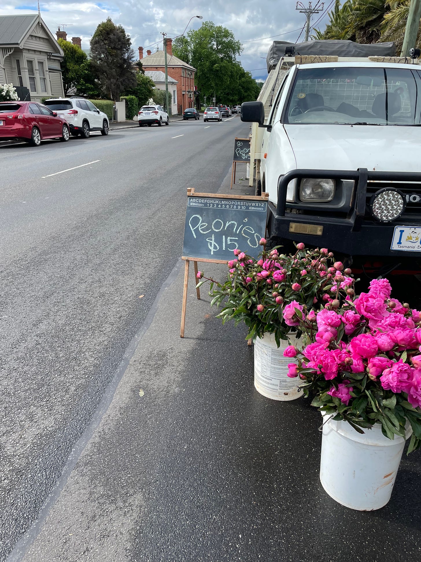 Road side peony stand