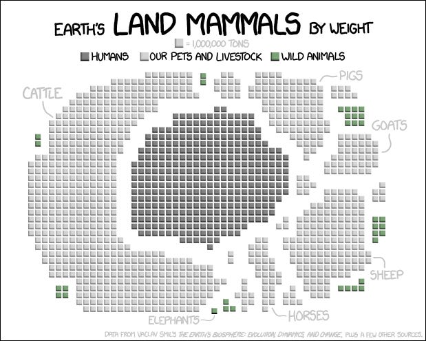 Land Mammals