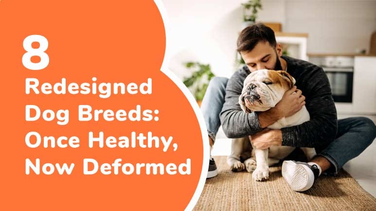 redesigned dog breeds