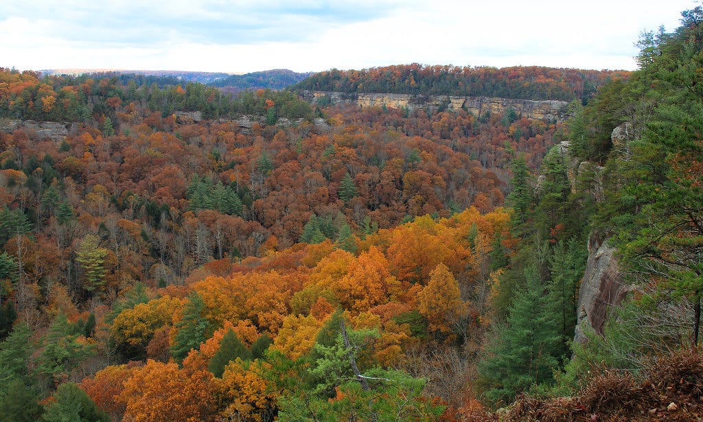 Last of the fall color Red River Gorge Nov 2013 | View from … | Flickr