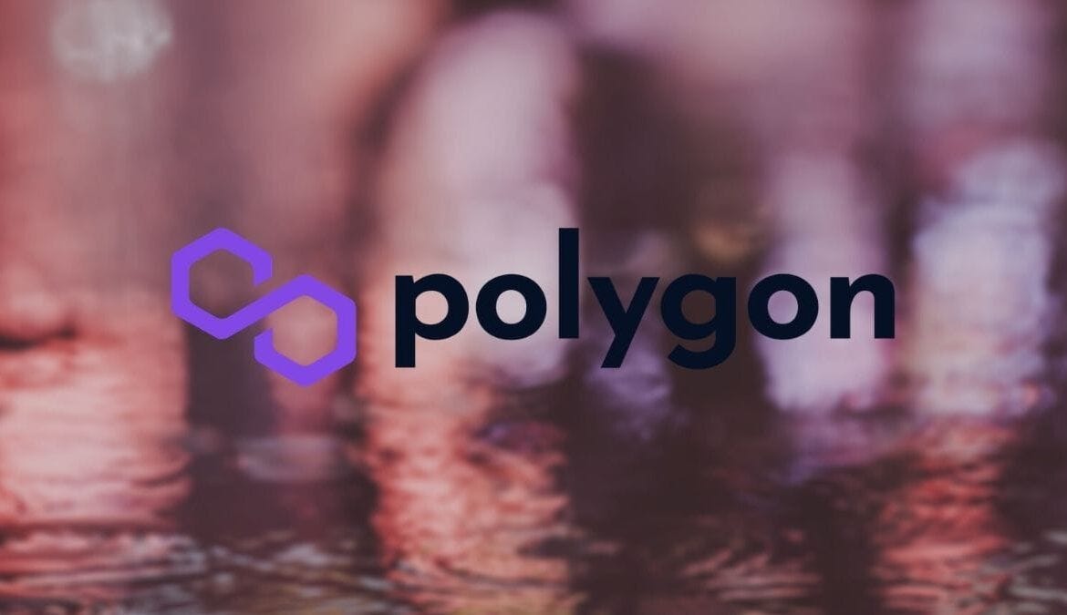Most Profitable Altcoins During the Market Fall: Polygon ...