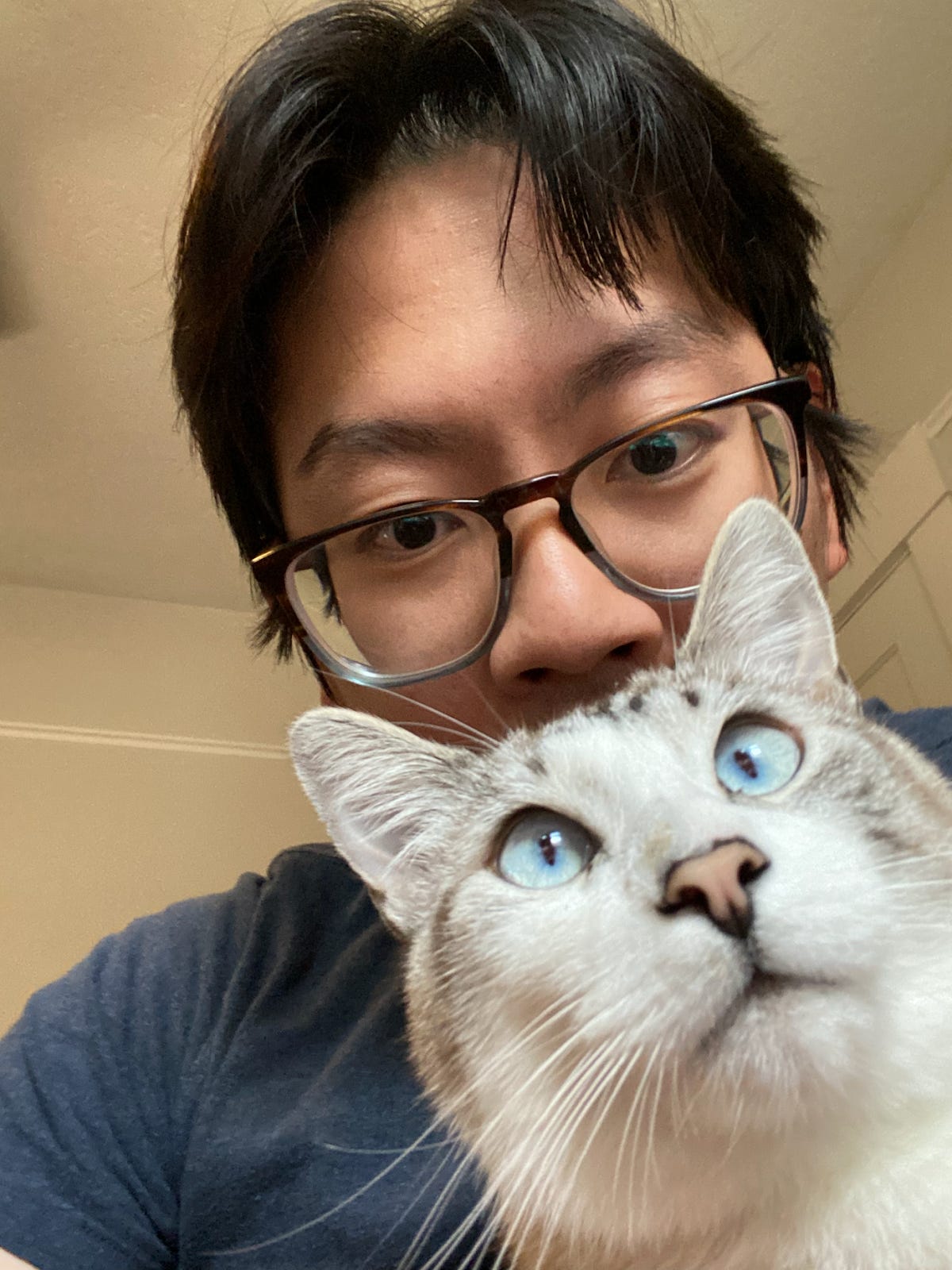 Nick Quah and his cat