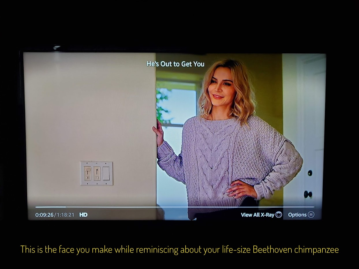Megan, a white woman in a purple sweater, fondly gazing, captioned "this is the face you make while reminiscing about your life-size Beethoven chimpanzee"