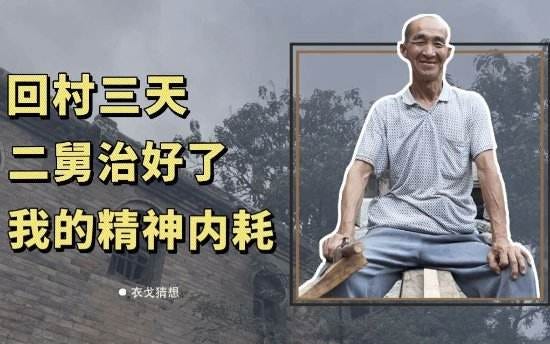 二舅治好了我的精神内耗是什么梗，为什么二舅火了？ - 数藏之家