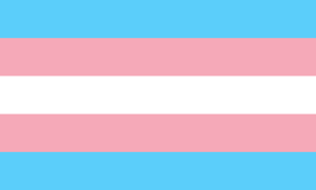 File:Transgender Pride flag.svg - Wikimedia Commons