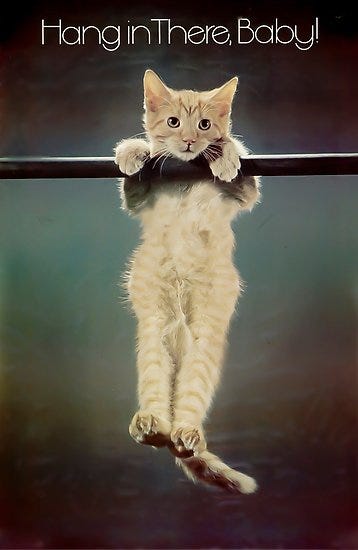 Hang in there" Poster by nicomazz | Redbubble