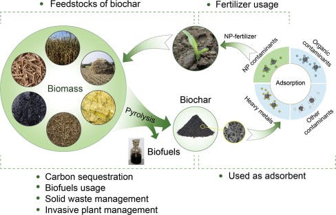 Application of biochar for the removal of pollutants from aqueous solutions  - ScienceDirect