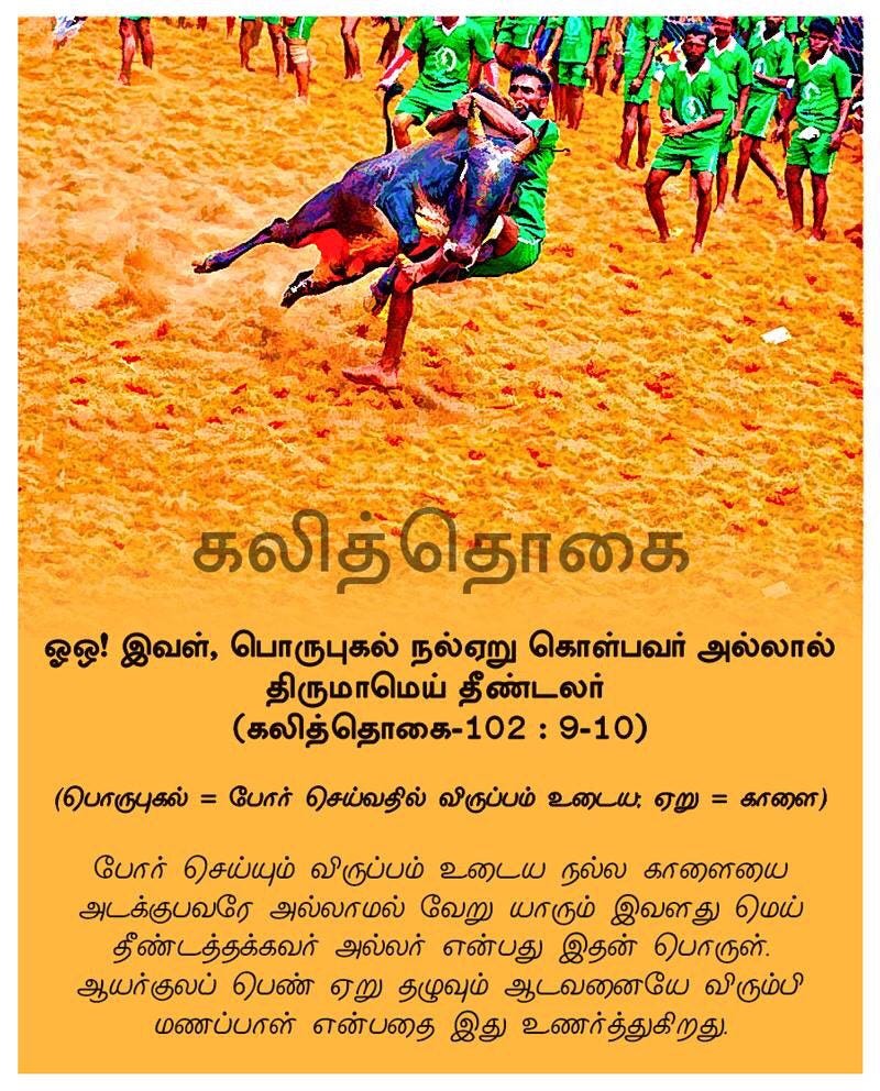 Smile Prabu on Twitter: &quot;#jallikattu is our tradition. 2K years old  #kalithogai tamil song says &quot;Girls like to marry who won in #jallikattu&quot;… &quot;