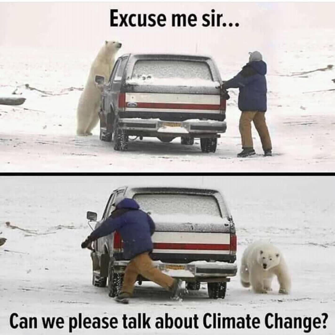 Polar bear circles car with man running away on the other side. The text reads 'Excuse me sir.. do you have a minute to talk about the climate crisis?'