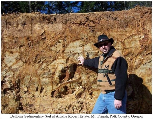 Bellpine Sedimentary Soil at Amalie Robert Estate. Mt. Pisgah, Polk County, Oregon.