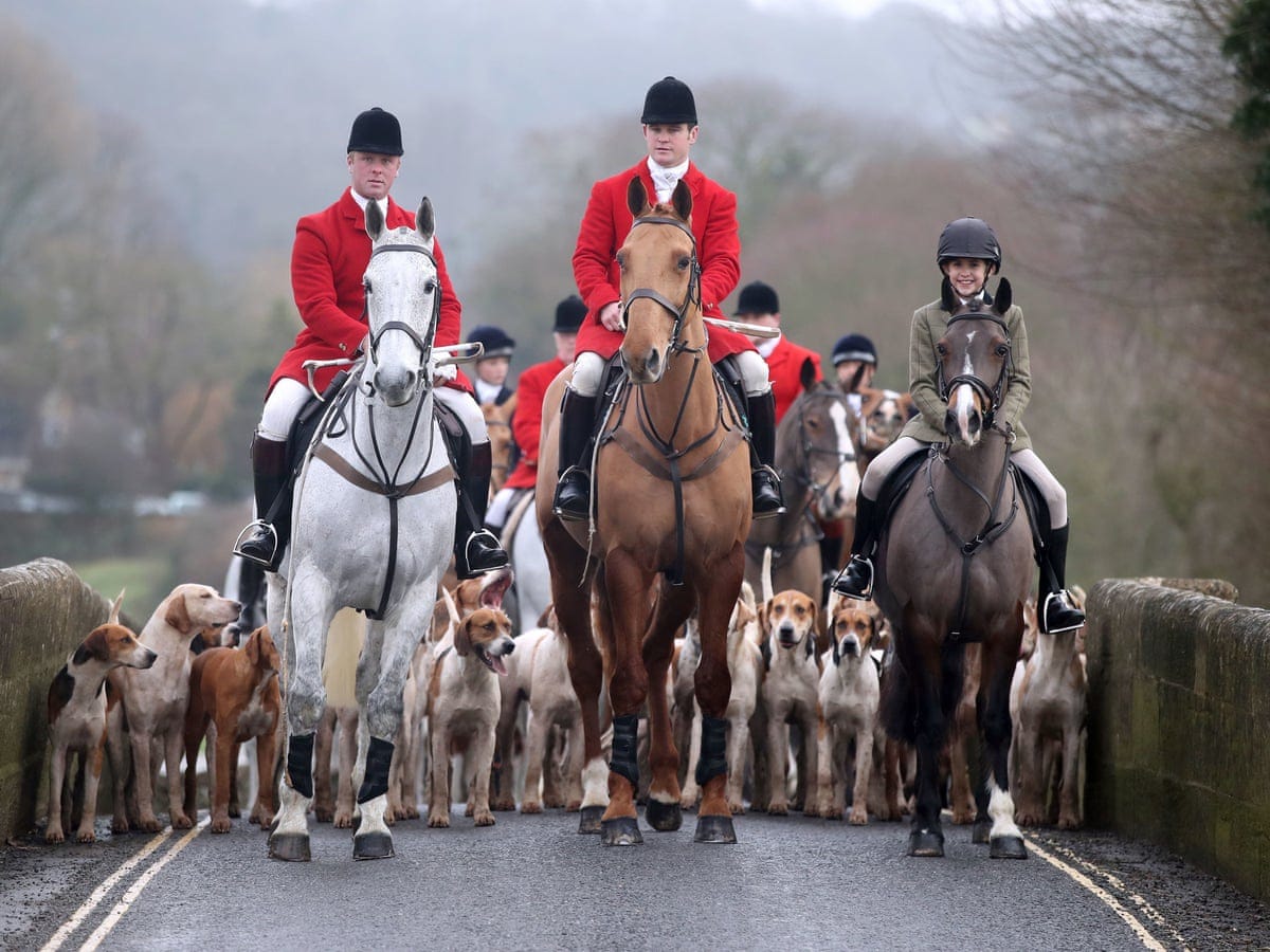 Foxhunting carries on with impunity, says former police chief | Hunting |  The Guardian