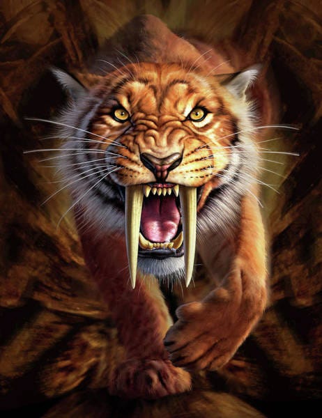 Saber Tooth Tiger Posters | Fine Art America
