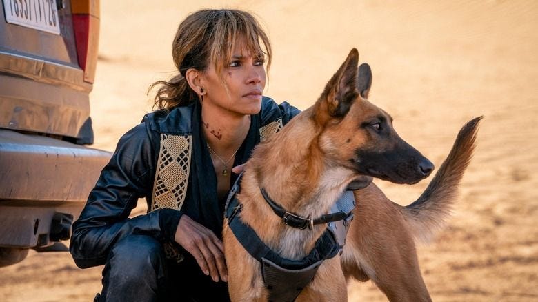 The Jaw-Dropping Truth About Halle Berry's John Wick Stunt Work - Exclusive