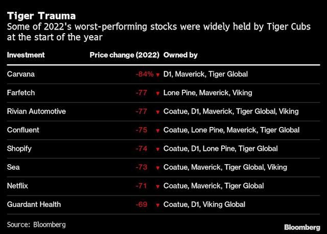 Tiger Cubs Crushed by Stocks That Made Hedge Funds Billions