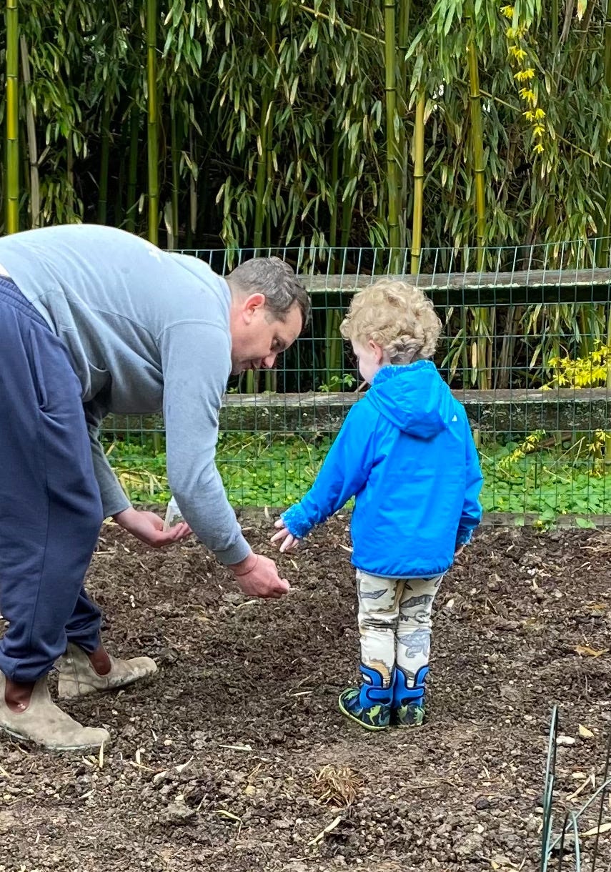 father son in garden planting seeds