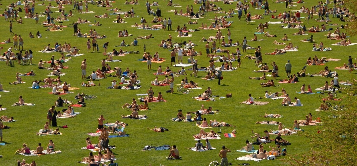 The Sheep Meadow is crowded with sunbathers