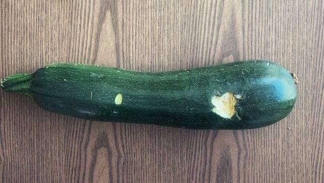 A zucchini with a big bite taken out