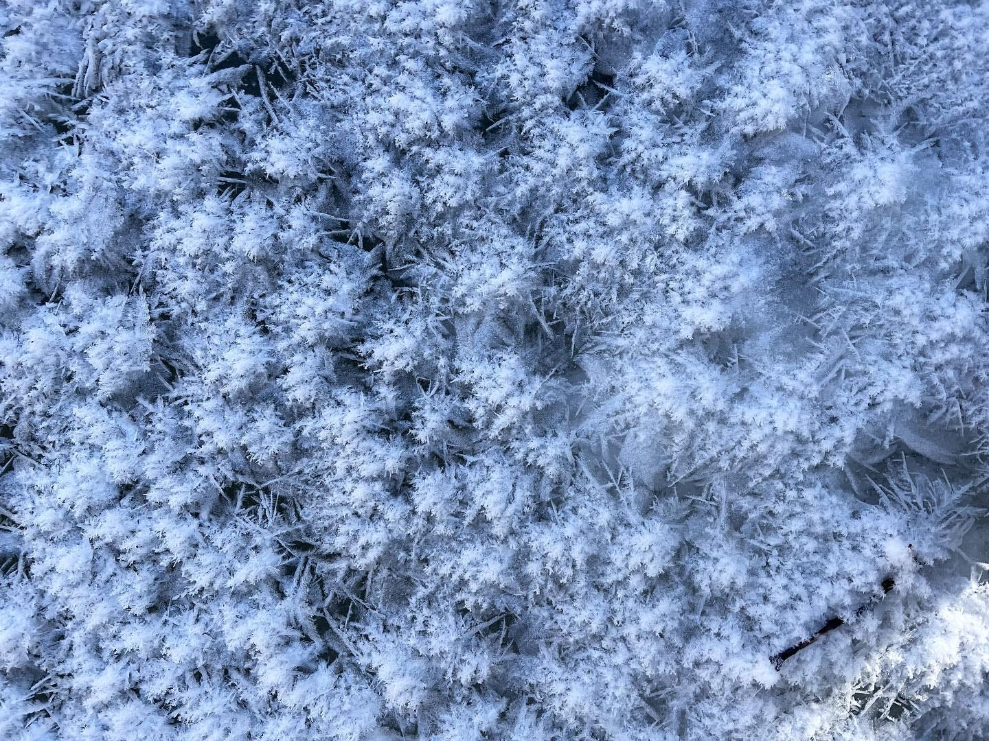 frozen snow from a recent hike. For more: https://www.instagram.com/jakehirschallen/ 