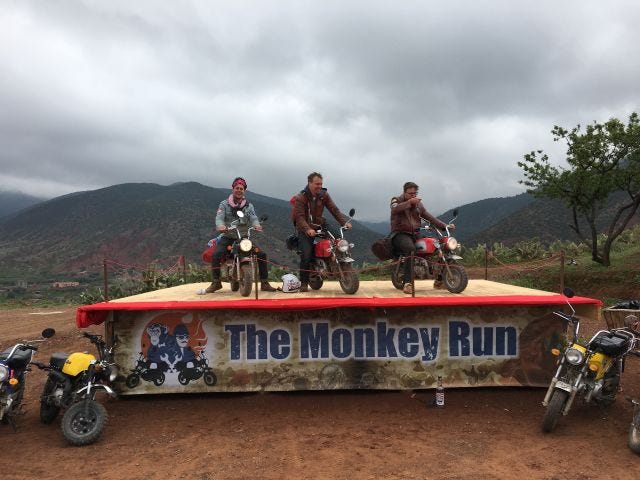 monkey ran monkey ran
