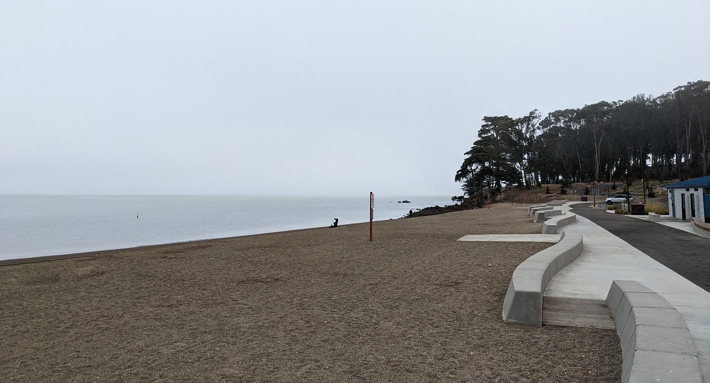 photo of a beach with grey water, grey sky, and trees in the distance